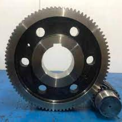 Tất Tần Tật Về Bộ Bánh Răng Chuyền Xe Nâng và Cách Chăm Sóc Hiệu Quả